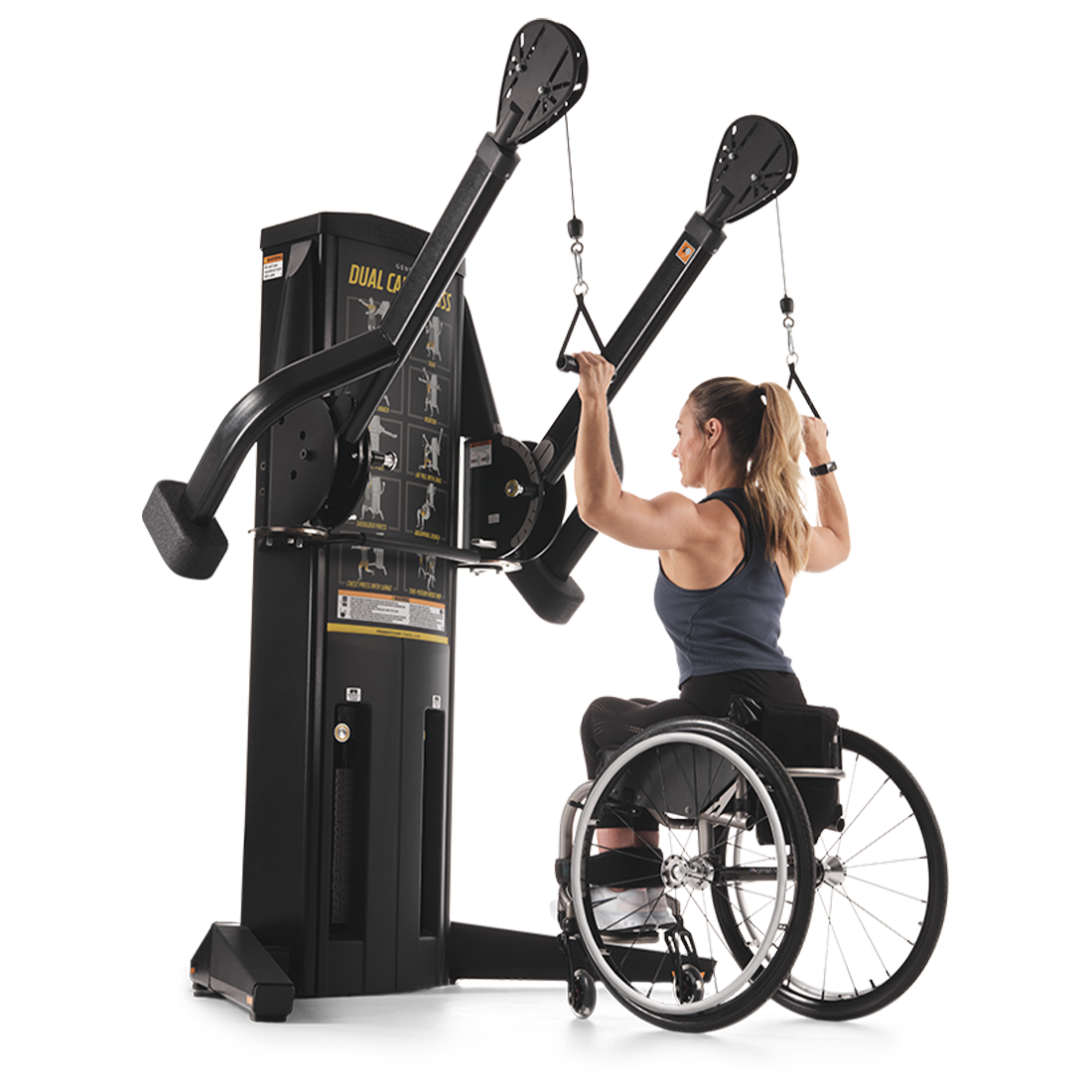 FreeMotion Genesis Dual Cable Cross