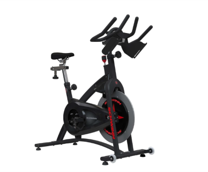 Schwinn AC sport indoor cycle