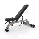 Precor Discovery Series Multi-Adjustable Bench