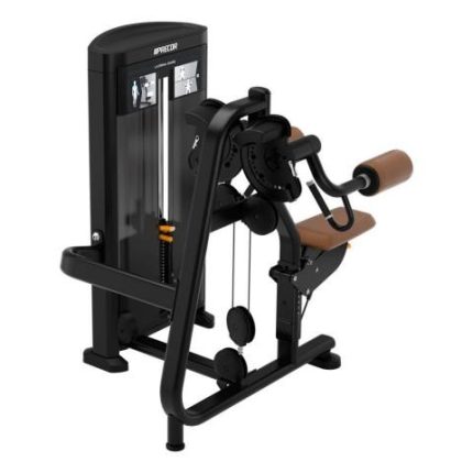 Precor Resolute Lateral Raise