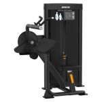 Precor Vitality Biceps Curl / Triceps Extension