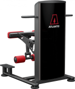 Atlantis Precision Standing Leg Curl